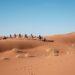 Photo Desert Oasis