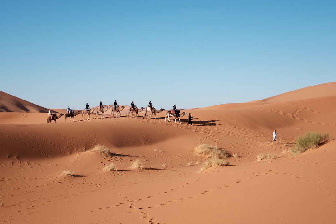 Photo Desert Oasis